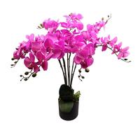 Leaf Design UK Realistic Artificial Orchid Flower Display in Pot, 85cm
