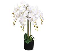 Leaf Design UK Realistic Artificial Orchid Flower Display in Pot, 85cm, White