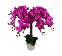 Leaf Design UK Realistic Artificial Orchid Flower Display in Pot,Dark Pink,85cm