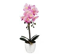 Leaf Design UK Realistic Artificial Orchid Flower Display in Pot, Light Pink Silver, 50cm