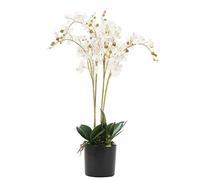 Leaf Design UK Realistic Artificial Orchid Flower Display in Pot, White, 60cm