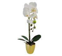 Leaf Design UK Realistic Artificial Orchid Flower Display in Pot, White Gold