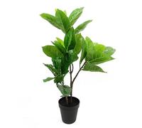 65cm Rubber Plant Artificial in Pot Leaf Green One Size