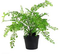 50cm Leaf Design UK Realistic Large Artificial Foliage Plant with Pot Leaf Green One Size