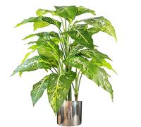 Leaf Design UK Spotted Evergreen Artificial Plant