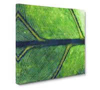 Leaf Detail Canvas Print | Gallery Wrapped 30mm Frame Wall Art | 20x20 inches | Ready to Hang | Modern Floral Picture | Living Room Bedroom Lounge Office