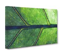 Leaf Detail Canvas Print | Gallery Wrapped 30mm Frame Wall Art | 30x20 inches | Ready to Hang | Modern Floral Picture | Living Room Bedroom Lounge Office