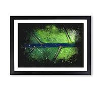 Leaf Detail Paint Splash Framed Print | A2 Black Framed Wall Art | Ready to Hang | Modern Floral Picture | Living Room Bedroom Lounge Office
