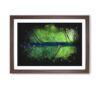 Leaf Detail Paint Splash Framed Print | A2 Walnut Framed Wall Art | Ready to Hang | Modern Floral Picture | Living Room Bedroom Lounge Office