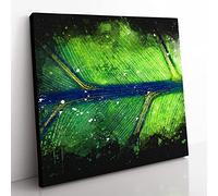 Leaf Detail Paint Splash Modern Canvas Wall Art Print Ready to Hang, Framed Picture for Living Room Bedroom Home Office Décor, 50x50 cm (20x20 Inch)