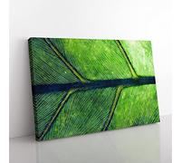Leaf Detail Painting Modern Art Canvas Wall Art Print Ready to Hang, Framed Picture for Living Room Bedroom Home Office Décor, 60x40 cm (24x16 Inch)