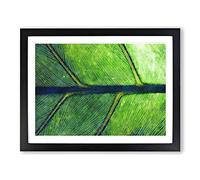 Leaf Detail Painting Modern Art Framed Print | A3 Black Framed Wall Art | Ready to Hang | Modern Floral Picture | Living Room Bedroom Lounge Office