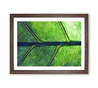 Leaf Detail Painting Modern Art Framed Print | A3 Walnut Framed Wall Art | Ready to Hang | Modern Floral Picture | Living Room Bedroom Lounge Office