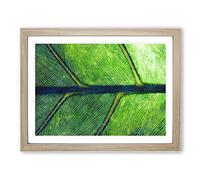 Leaf Detail Painting Modern Art Framed Wall Art Print, Ready to Hang Picture for Living Room Bedroom Home Office Décor, Oak A4 (34 x 25 cm)