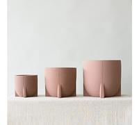 Leaf Envy Indoor Plant Pot, Windsor Stoneware Planter with Sandstone Matt Finish, Fits 19-21cm Nursery Pot, Large Plant Pots for Houseplants, Flowers, Succulents & Cactus, 25cm Diameter