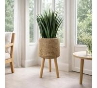 Leaf Extra Large Cachepot Planters