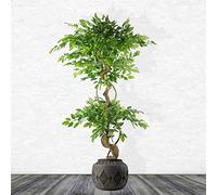 Leaf Extra Large Cachepot Planters