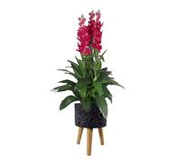 Leaf Moon Black Planter With Stand, Black