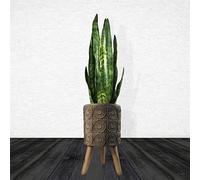 Leaf Flowers Composite Planter with Stand, Brown
