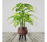 Leaf Extra Large Cachepot Planters, Wood, 40cm Zaturn, 44cm