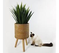 Leaf Extra Large Cachepot Planters, Wood, 54cm Woven Fibreglass Composite