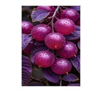 Leaf Fruit Jigsaw Puzzles for Adults 500, Fun Challenging Educational Games, Difficult Jigsaw Puzzles for Adults, Puzzle 500 Pieces