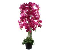 Leaf Giant Pink Orchid Plant Artificial 189 flowers REAL TOUCH Botanik in Green Leaf Green