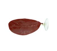 Leaf Hammock from the Aquarium, Realistic Hammock Plant with Safe, Leaves for Lizard and Fish in the Aquarium - for Home Office, Apartment, Living Room, Balcony