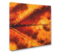Leaf in the Autumn Canvas Print | Gallery Wrapped 30mm Frame Wall Art | 14x14 inches | Ready to Hang | Modern Floral Picture | Living Room Bedroom Lounge Office