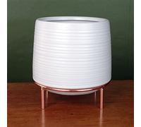 Leaf Indoor Cachepot Planters, White Ceramic Gold Stand, 18cm