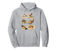 Leaf Insect Phylium Insects Bugs Vintage Entomologist Pullover Hoodie