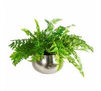 Leaf Large Artificial Ferns Display With Xl Metal Silver Bowl Planter 50X65Cm