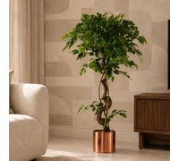 Leaf Large Artificial Japanese Fruticosa Ficus Tree Copper 120Cm 4Ft Realistic Botanik