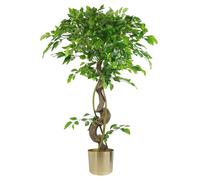Large Artificial Japanese Fruticosa Ficus Tree Gold 120Cm 4Ft Realistic Botanik, Green