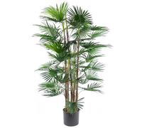 Leaf Design 120cm Fan Palm Artificial Tree