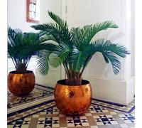 Leaf Large Artificial Palm Tree 80cm Cycas Realistic Plant Design UK Botanik in Green Leaf Green