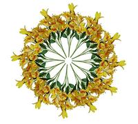 Leaf Large Artificial Stargazer Style Lily Plant