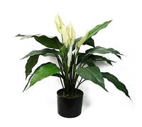 LeafDesign Artificial Peace Lily White Spathiphyllum – Large 60cm, Stargazer-style