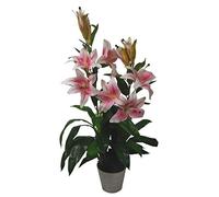Leaf Large Artificial Stargazer Style Lily Plant, Pink, 90 cm