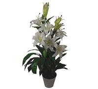 Leaf Large Artificial Stargazer Style Lily Plant, White, 90cm