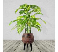 Leaf Large Composite Brown / Black Planter with Stand in Dark Brown Leaf Dark Brown