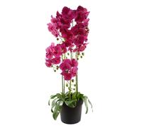 Leaf Large Pink Artificial Orchid Plant Artifcial 41 REAL TOUCH flowers Botanik in Green Leaf Green