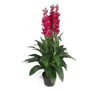 Leaf LEAF-7076 90cm Artificial Cymbidium Orchid Plant-Extra Large Black Plastic Pot, Dark Pink
