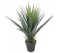 Leaf LEAF-7170 60cm Artificial Agave Succulent Yukka Style Green Plant
