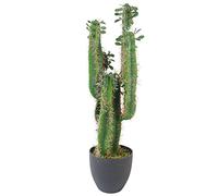 Leaf Artificial Cactus Cacti Plant Black Pot 65Cm Plants, Green