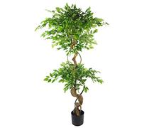 Leaf Artificial Japanese Fruticosa Tree Twisted Ficus 150Cm UK, Green