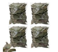 Leaf Litter For Reptiles, 200 Pieces Reptile Longan Leaves, Natural Dry Pet Supplies, Turtle Litter Leaf For Frogs Fish Snakes Shrimp Tortoises Lizards Small Animal Home Indoor Outdoor Habitat