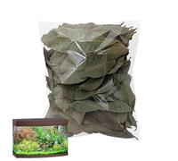 Leaf Litter | Pack of 50 Natural Pet Accessories | Aquarium Longan Leaf Litter | For Geckos Frogs Fish Snakes Home Indoor Outdoor Habitats Water Small Animals Turtles