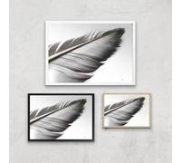 Leaf Or Feather? Giclee Art Print - A3 - Black Frame