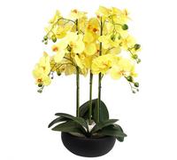 Leaf Orchid Yellow - Black Ceramic Planter